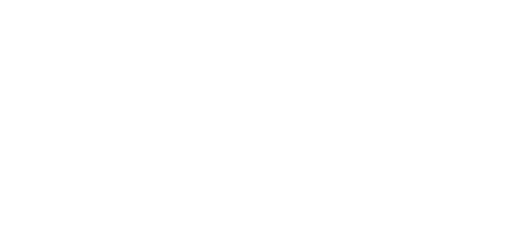 Zebra_White